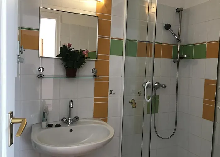 Elvira * זלקרוס